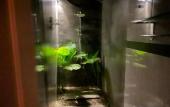 Туры в отель Himeyn Beach Inn Ocho Homes By Eight Continents Туры в отель Himeyn Beach Inn Ocho Homes By Eight Continents