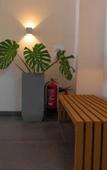 Туры в отель Whale Shark Boutique Туры в отель Whale Shark Boutique