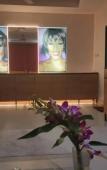 Туры в отель Villa Whitney Туры в отель Villa Whitney