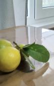 Туры в отель Mandarinka Mini-Hotel Туры в отель Mandarinka Mini-Hotel