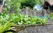 Туры в отель Thotupola Lakehouse Туры в отель Thotupola Lakehouse