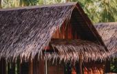 Туры в отель COCO Canopy Boutique Resort Туры в отель COCO Canopy Boutique Resort