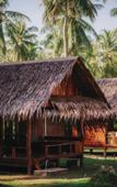 Туры в отель COCO Canopy Boutique Resort Туры в отель COCO Canopy Boutique Resort