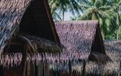 Туры в отель COCO Canopy Boutique Resort Туры в отель COCO Canopy Boutique Resort