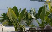 Туры в отель Bed&Breakfast Avi Guesthouse Туры в отель Bed&Breakfast Avi Guesthouse