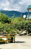 Туры в отель Bugenvilliya Guest House Туры в отель Bugenvilliya Guest House