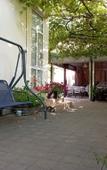 Туры в отель Lotos Guest house Туры в отель Lotos Guest house