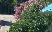 Туры в отель Pod Palmoy Guest House Туры в отель Pod Palmoy Guest House