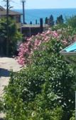 Туры в отель Гостевой дом Под пальмой Туры в отель Гостевой дом Под пальмой
