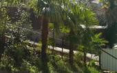 Туры в отель Pod Palmoy Guest House Туры в отель Pod Palmoy Guest House