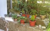Туры в отель Pod Palmoy Guest House Туры в отель Pod Palmoy Guest House