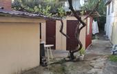 Туры в отель Pod Palmoy Guest House Туры в отель Pod Palmoy Guest House