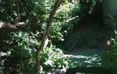 Туры в отель Pod Palmoy Guest House Туры в отель Pod Palmoy Guest House