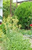 Туры в отель Artyn Lodging House Туры в отель Artyn Lodging House