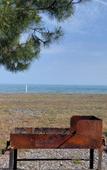Туры в отель Sosnovy Bor Resort Туры в отель Sosnovy Bor Resort