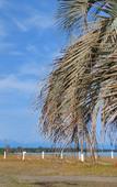 Туры в отель Sosnovy Bor Resort Туры в отель Sosnovy Bor Resort