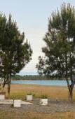 Туры в отель Hotsglamping Resort Hotel Туры в отель Hotsglamping Resort Hotel