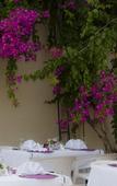 Туры в отель High Life Apartments Туры в отель High Life Apartments