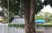 Туры в отель vivi bungalows resort5 Туры в отель vivi bungalows resort5