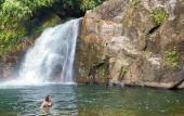 Туры в отель Sinharaja Serenity Retreat Туры в отель Sinharaja Serenity Retreat