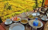 Туры в отель Sinharaja Serenity Retreat Туры в отель Sinharaja Serenity Retreat