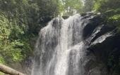 Туры в отель Sinharaja Serenity Retreat Туры в отель Sinharaja Serenity Retreat