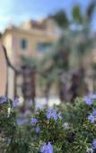 Туры в отель Bed&Breakfast Boutique B&B Barocchetto Romano Ostia Lido Туры в отель Bed&Breakfast Boutique B&B Barocchetto Romano Ostia Lido