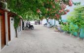 Туры в отель Navaya Dhiffushi Guest house Туры в отель Navaya Dhiffushi Guest house