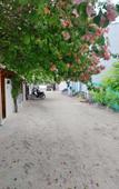 Туры в отель Navaya Dhiffushi Guest house Туры в отель Navaya Dhiffushi Guest house