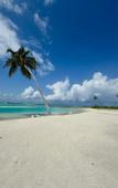 Туры в отель Navaya Dhiffushi Guest house Туры в отель Navaya Dhiffushi Guest house