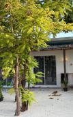 Туры в отель Navaya Dhiffushi Guest house Туры в отель Navaya Dhiffushi Guest house