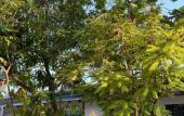 Туры в отель Navaya Dhiffushi Guest house Туры в отель Navaya Dhiffushi Guest house
