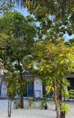 Туры в отель Navaya Dhiffushi Guest house Туры в отель Navaya Dhiffushi Guest house