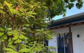 Туры в отель Navaya Dhiffushi Guest house Туры в отель Navaya Dhiffushi Guest house