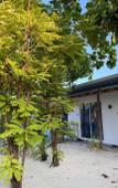 Туры в отель Navaya Dhiffushi Guest house Туры в отель Navaya Dhiffushi Guest house