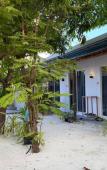Туры в отель Navaya Dhiffushi Guest house Туры в отель Navaya Dhiffushi Guest house