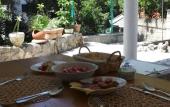 Туры в отель The Olive Tree Туры в отель The Olive Tree