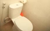 Туры в отель Puri Kusuma Guest House Туры в отель Puri Kusuma Guest House