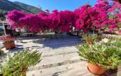 Туры в отель Akdeniz Pansiyon Bed&Breakfast Туры в отель Akdeniz Pansiyon Bed&Breakfast