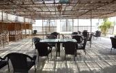 Туры в отель Green Oasis Hotel Туры в отель Green Oasis Hotel