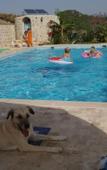 Туры в отель Eco Farm Boutique Hotel Туры в отель Eco Farm Boutique Hotel