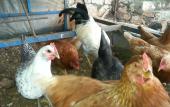 Туры в отель Beymelek Tas Evler Туры в отель Beymelek Tas Evler