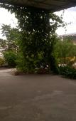 Туры в отель Ferma Solntsa Guest House Туры в отель Ferma Solntsa Guest House
