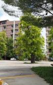 Туры в отель The Route Sriracha Hotel And Residence Туры в отель The Route Sriracha Hotel And Residence