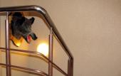 Туры в отель Motel M7 Туры в отель Motel M7