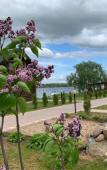 Туры в отель Aleksandrov Zaliv Recreation Camp Туры в отель Aleksandrov Zaliv Recreation Camp