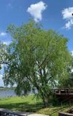 Туры в отель Aleksandrov Zaliv Recreation Camp Туры в отель Aleksandrov Zaliv Recreation Camp