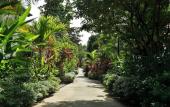 Туры в отель Rainforest Resort Phu Quoc Туры в отель Rainforest Resort Phu Quoc