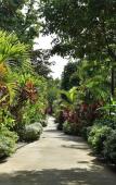 Туры в отель Rainforest Resort Phu Quoc Туры в отель Rainforest Resort Phu Quoc