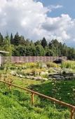 Туры в отель Ruskealskiy Prival Guest House Туры в отель Ruskealskiy Prival Guest House